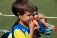 IMG_6267587b2.jpg