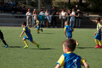 IMG_6270cc7d5.jpg