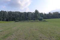 gallery01d39b7.jpg