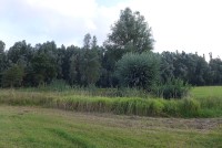 gallery0336ef2.jpg