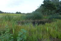 gallery0466ce1.jpg