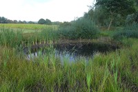 gallery0564de2.jpg