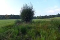 gallery0729797.jpg