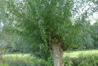 gallery08d45b7.jpg