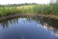 gallery09c8525.jpg
