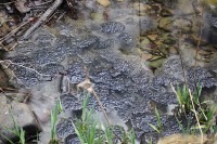 gallery0564de2.jpg