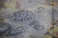 gallery0729797.jpg