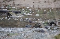 gallery08d45b7.jpg