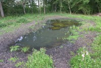 gallery01d39b7.jpg