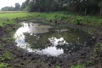 gallery0729797.jpg