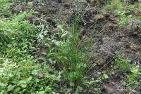 gallery08d45b7.jpg