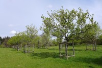 gallery20aca1.jpg