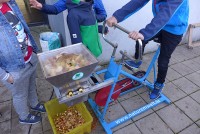 gallery0564de2.jpg