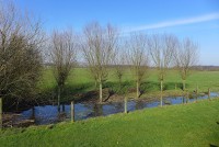 gallery01d39b7.jpg