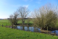 gallery023bf47.jpg