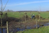 gallery0564de2.jpg