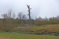 gallery08d45b7.jpg