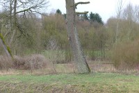 gallery09c8525.jpg
