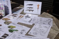 gallery20aca1.jpg