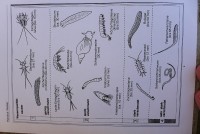 gallery51ea7e.jpg