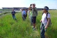 gallery175676.jpg