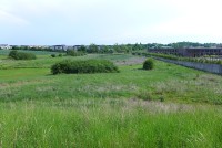 gallery315a67.jpg