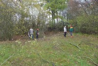 gallery01d39b7.jpg
