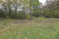 gallery14f2b86.jpg