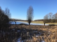 gallery08d45b7.jpg