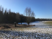 gallery06c849c.jpg