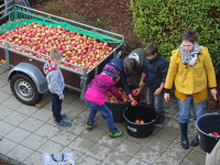 005a_Äppeldag_Mamerschoulen_20182849ff.jpg