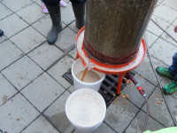017_Äppeldag_Mamerschoulen_20182f501b.jpg