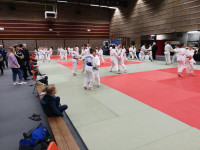 IMG_20181104_094916866b4.jpg