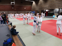 IMG_20181104_094917df604.jpg