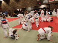 IMG_20181104_095505991b8.jpg