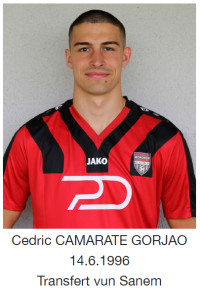 Camarate_Cedricca75d.jpg