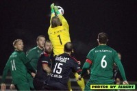 155030dfb2f.jpg