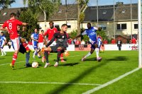 DSC_8268_Bildgröße ändern.jpg