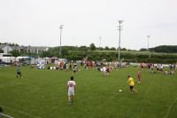 IMG_8281a078c.jpg