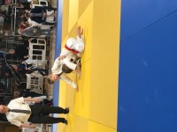 IMG_4018dce32.jpg