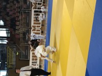 IMG_403031531.jpg