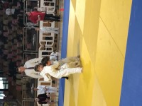IMG_4040d01c6.jpg