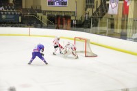 IMG_428691884.jpg