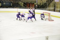IMG_440104d19.jpg