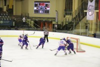 IMG_440305cde.jpg