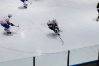 IMG_7285379e3.jpg
