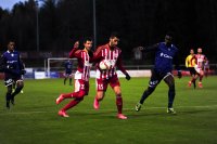 TUN_4243_Bildgröße ändern.jpg