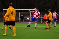 TUN_7650_Bildgröße ändern.jpg