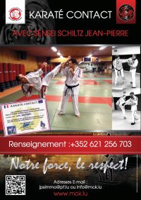 Affiche Karaté Mondorf 2013.jpg