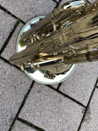 IMG_5039.jpeg